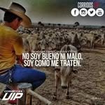 Edilberto Vázquez - @edilbertovh23 - Instagram