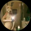 Edilberto Vázquez Martínez - @edilbertovazquezmartinez - TikTok