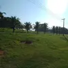 Edilson Almeida - @edilson.almeida59 - TikTok