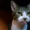 Edilson Almeida - @edilson.almeida33 - TikTok