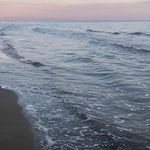 Edin Sabanovic - @edoo_966 - Instagram