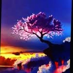 Edin Selimovic - @edin.selimovic23 - Instagram