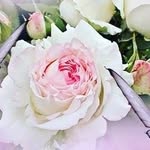 Edina Abraham - @edina2181 - Instagram