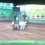Edinaldo Araujo - @naldeira_ranch - Instagram