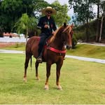 Edinaldo Silva - @edinaldosilva116 - Instagram