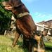 Edinson Leon - Facebook