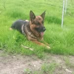 Edison Alcantara - @edison_alcantara26 - Instagram