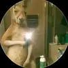 edison Alvarez - @rashat.15 - TikTok