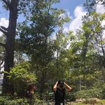 Edison Castro - @edison.castro12 - Instagram