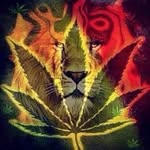 Edison Chavez - @edison__chavez - Instagram