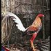 Edison Garcia - Facebook