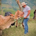 Edison Garcia - @edisongarcia211 - Instagram