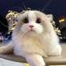 Edison Phillips - Facebook