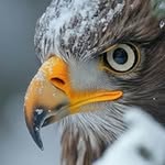 Edison Richard - @richardedson106 - Instagram