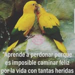 Edison Rolando - @edisonrolandoo - Instagram