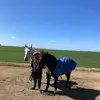 Edison Rosa - @edisonrosa8565 - TikTok