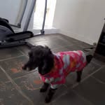 edison rosa - @edisonrosa9717 - Instagram