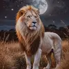 Edison Ruiz - @edison.ruiz565 - TikTok