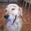 Edison Ruiz - @edisonruiz - TikTok