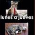 Edison Soliz - Facebook