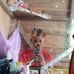 Edison Tello - Facebook