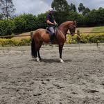Edison Tobón - @edisontobonpalacio - Instagram