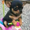 Edison Ulloa - @edison.ulloa - TikTok
