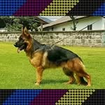 Edison Vallejo - @edison.vallejo.9655 - Instagram