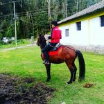 Edison Valverde - @edi123_jabi - Instagram