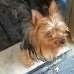 Edison Valverde Rocha - @edisonvalverderocha - Instagram