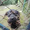 Edison Vanegas - @edison.vanegas4 - TikTok