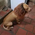 Edison Vasquez - @uniedisonvasquez - Instagram