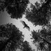 Edison Wilson - Facebook