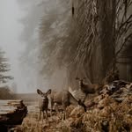Edison Woods - @edisonwoodsmusic - Instagram