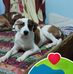 Edison Yepes - Facebook