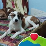 Edison Yepes - @edison.yepes.9022 - Instagram