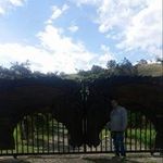 Edison Yepes - @yepes_edison - Instagram