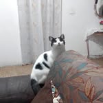 Edisson Osorio - @osorioedisson095 - Instagram