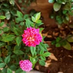 💜얄다💜 - @edit.book.2012 - Instagram