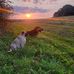Edith Adina Gonczi - Facebook