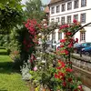 Edith Ackermann - @edith.ackermann - TikTok