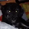 edithaldama7 - @edithaldama7 - TikTok