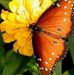 Edith Alexander - Facebook