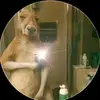ℰ𝒹𝒾𝓉𝒽_𝒜𝓁ℯ𝓍𝒶𝓃𝒹ℯ𝓇✔︎ - @tem_messi_30 - TikTok