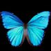 Edith Alexander - Facebook