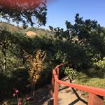 Edith Allison - @edithallison7901 - Instagram