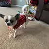 Edith Alvarez - @edithalvarez64 - TikTok