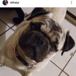 Edith Anaya - @eiithalinda - Instagram