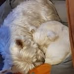 Edith Andersen - @ditte1960 - Instagram