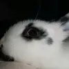 EDITH ANGEL - @disa631 - TikTok